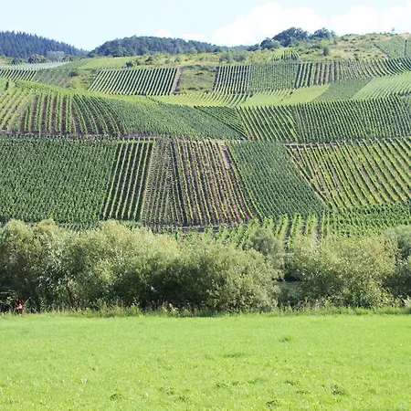 Hotel Zum Treppchen Lösnich
